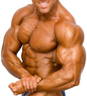 Pro anabolic definition