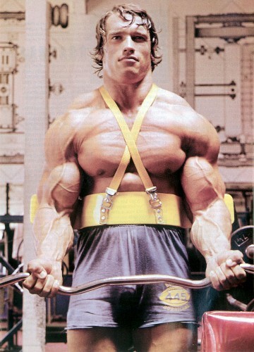 Arnold Arm Workout
