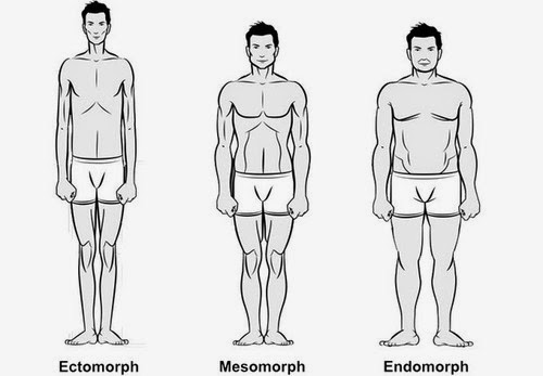 Bodybuilding Genetics