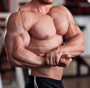 Size and Strength Steroids